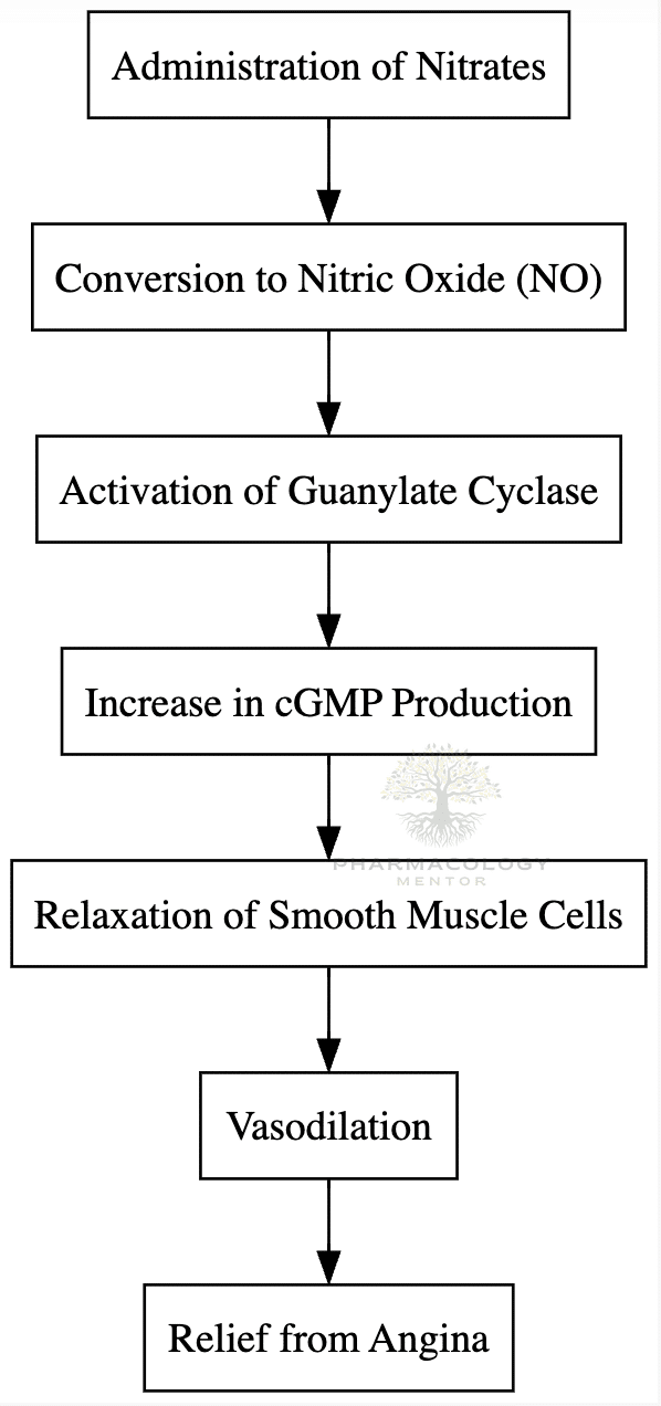 Nitrates MOA in angina