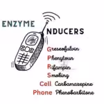 enzyme inducers