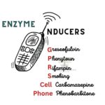 enzyme inducers