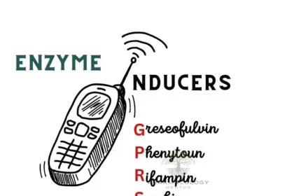 enzyme inducers