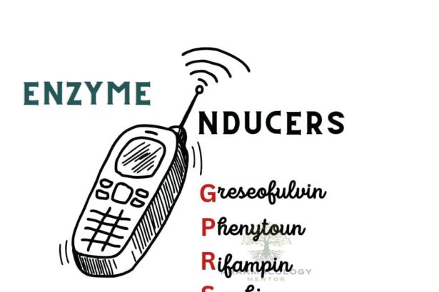 enzyme inducers