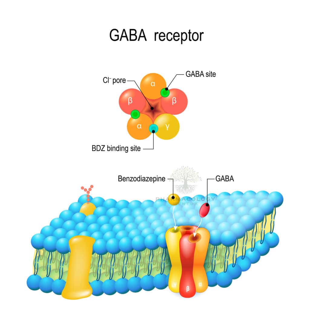 Banzodiazepines MOA