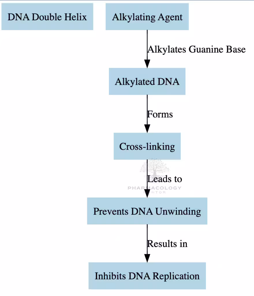 Alkylating agents as anticancer drugs