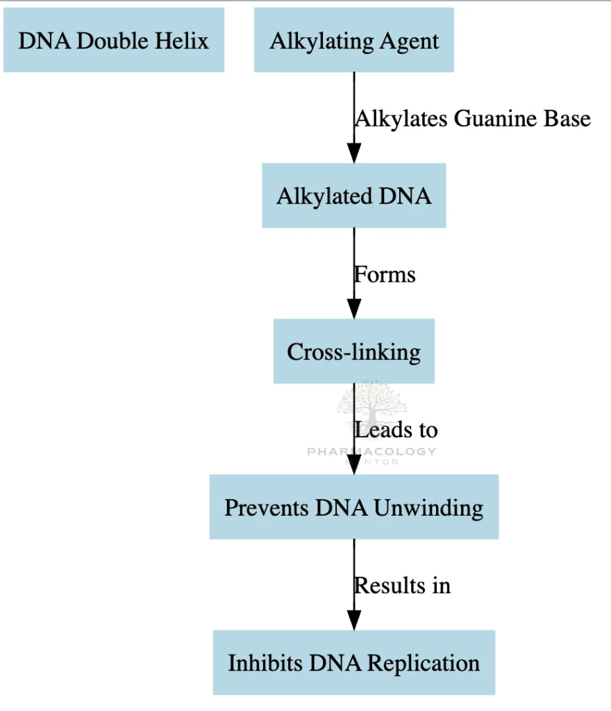 Alkylating agents as anticancer drugs