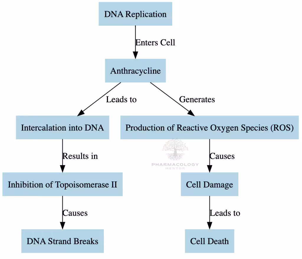 Anthracycline as anticancer drugs