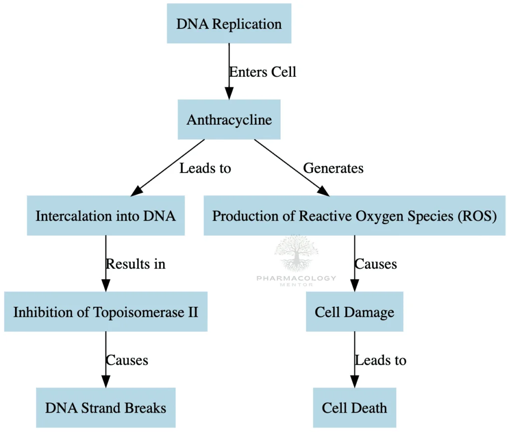 Anthracycline as anticancer drugs