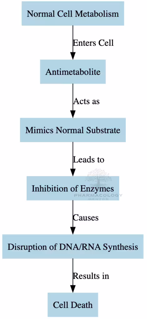 Antimetabolite action as anticancer drugs
