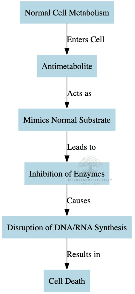 Antimetabolite action as anticancer drugs