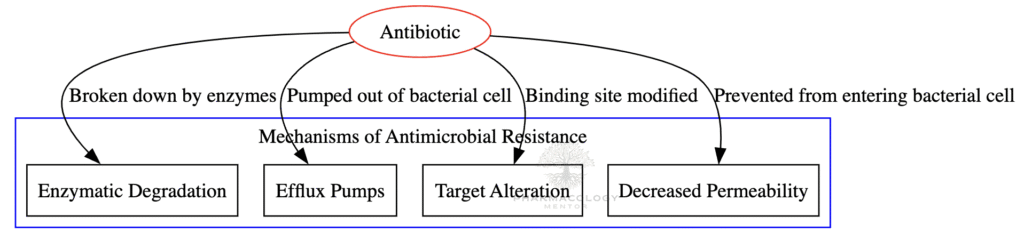 Antimicrobial resistance mechanisms