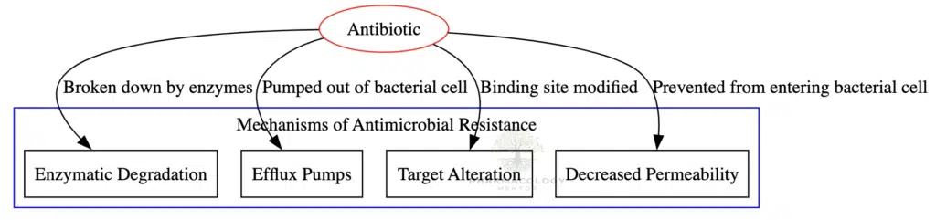 Antimicrobial resistance mechanisms