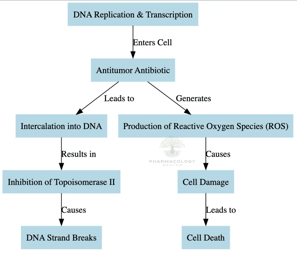 Antitumor Antibiotic as anticancer drugs