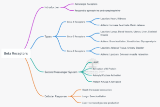 Beta receptors