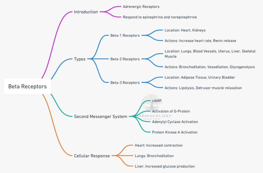 Beta receptors