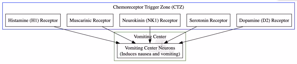 CTZ and Vomiting center