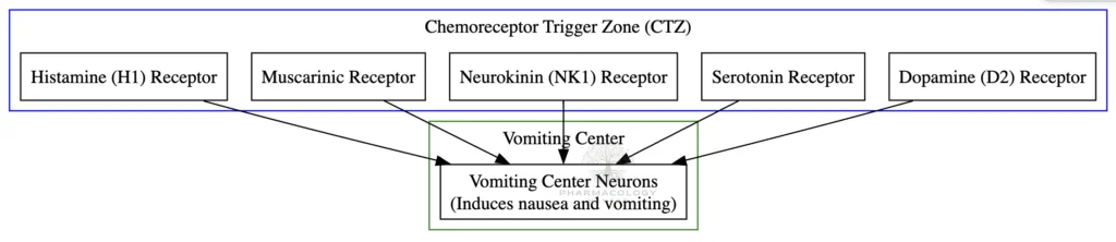 CTZ and Vomiting center