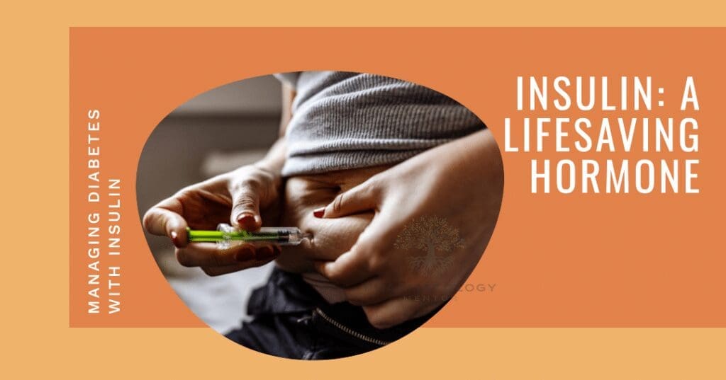 Factors influencing insulin release