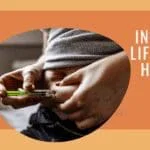 Factors influencing insulin release