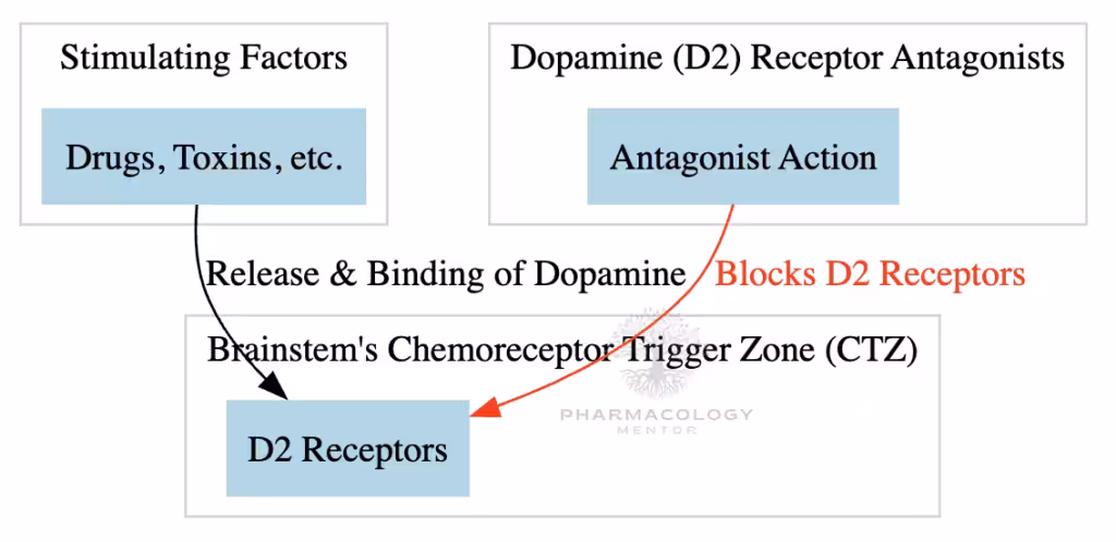 D2 receptors antagonists MOA as antiemetic drugs
