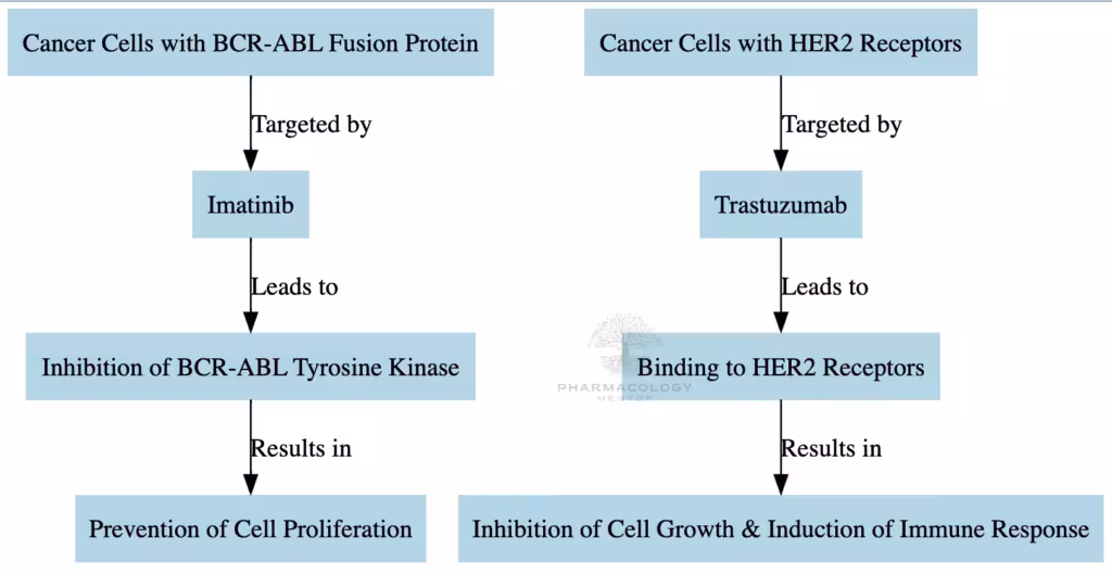 Imatinib and Trastuzumab as anticancer drugs