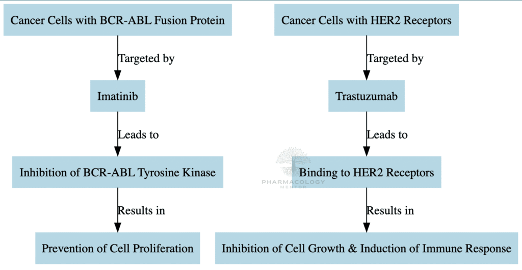 Imatinib and Trastuzumab as anticancer drugs