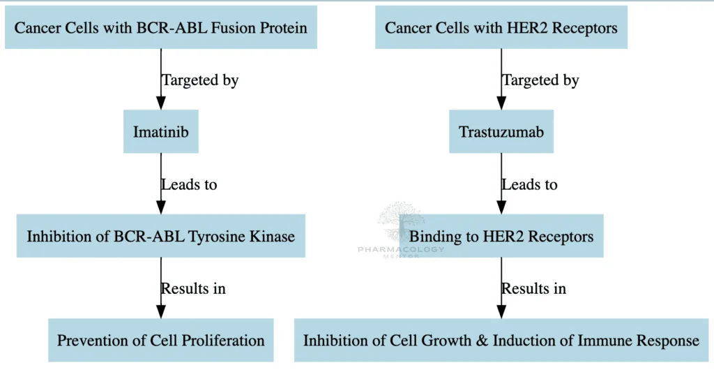Imatinib and Trastuzumab as anticancer drugs