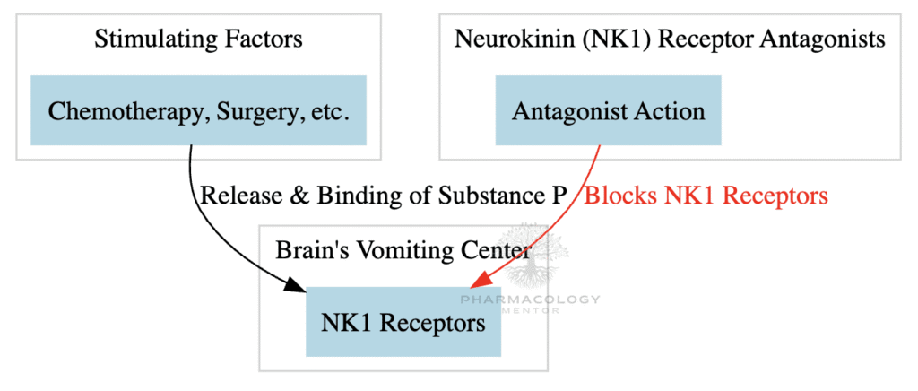 NK1 receptor antagonists MOA as antiemetic drugs