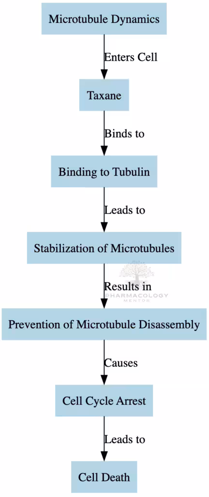 Taxanes as anticancer drugs