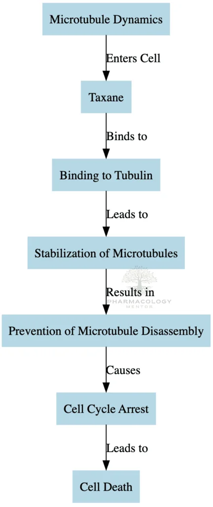 Taxanes as anticancer drugs