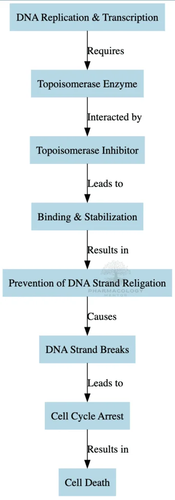 Topoisomerase Inhubitor as anticancer drugs