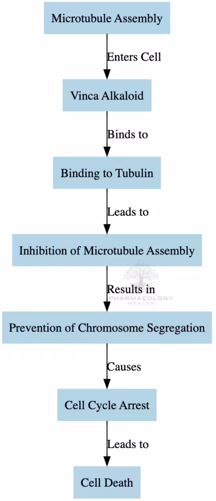 Vinca alkaloids as anticancer drugs