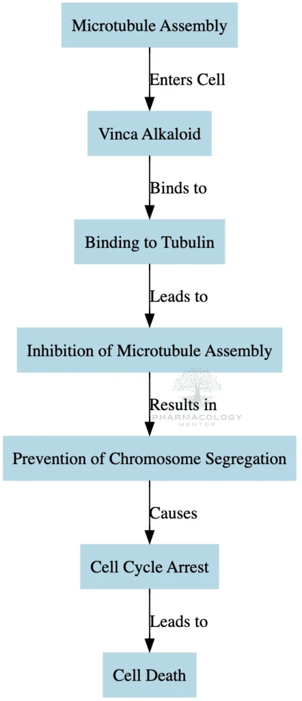 Vinca alkaloids as anticancer drugs