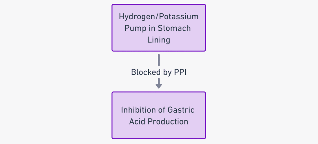 proton pump inhibitors mechanism of action in peptic ulcer