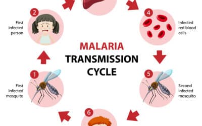 Malaria