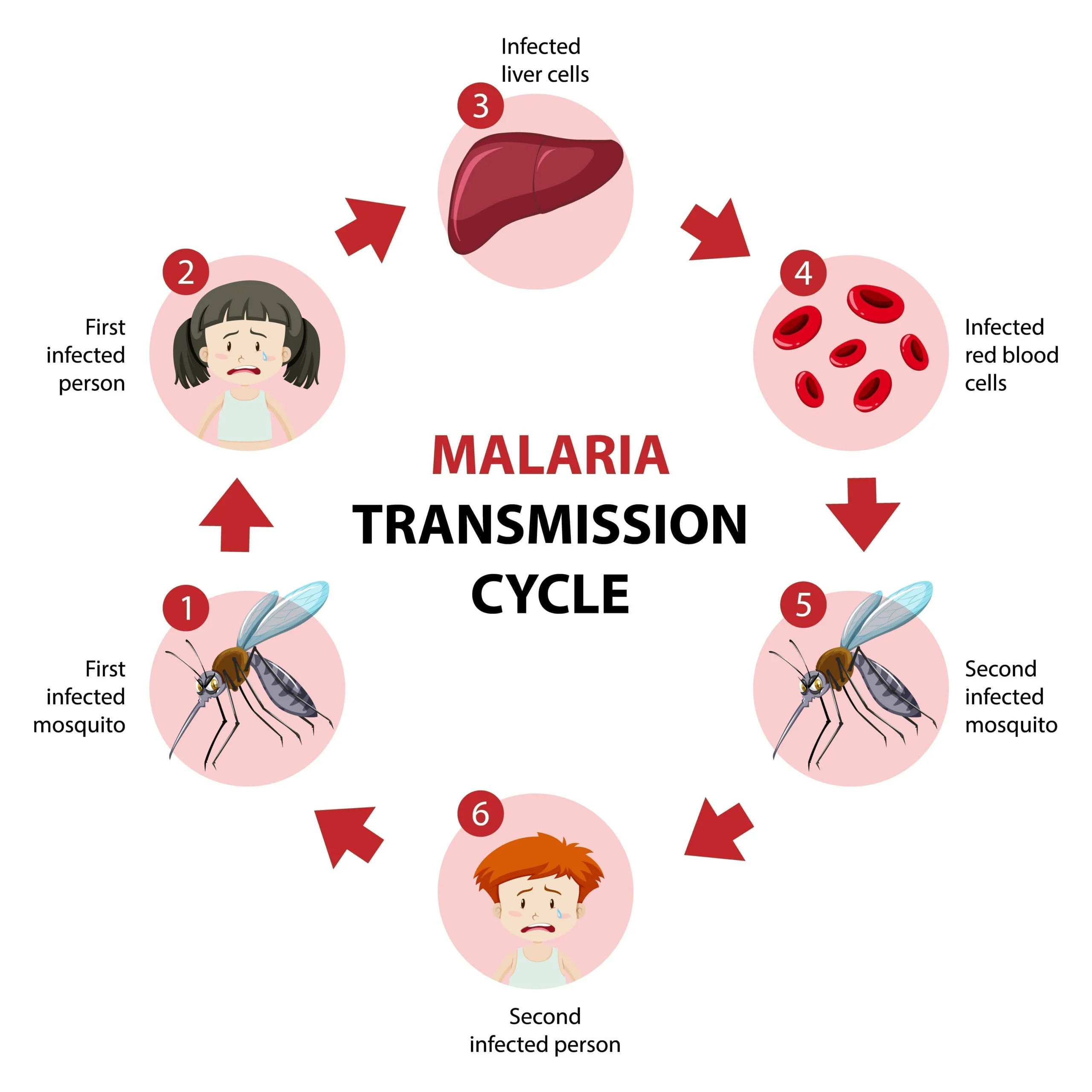 Malaria