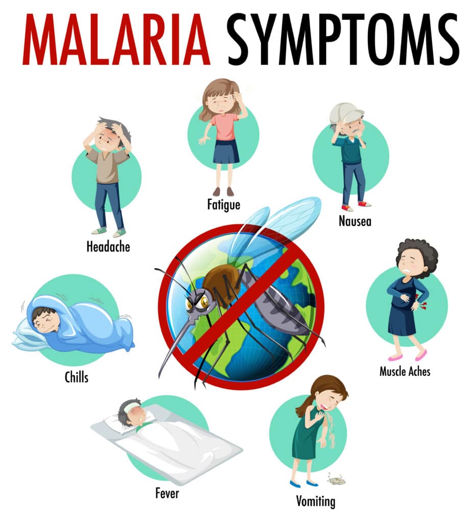 Malaria Symptoms
