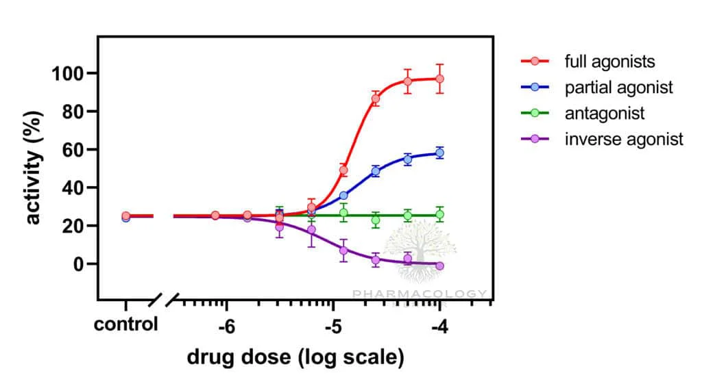 Dose-response curves depicting the activity profile of different ligand classes full agonist partial agonist antagonist and full inverse agonist