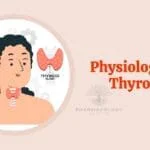 Physiology of thyroid gland