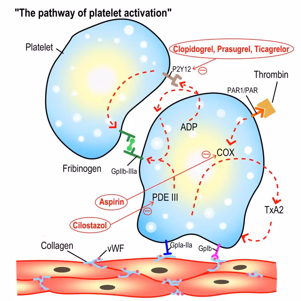antiplatelet-drugs