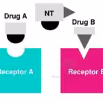 Drug Specificity