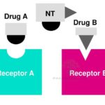 Drug Specificity