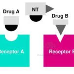 Drug Specificity