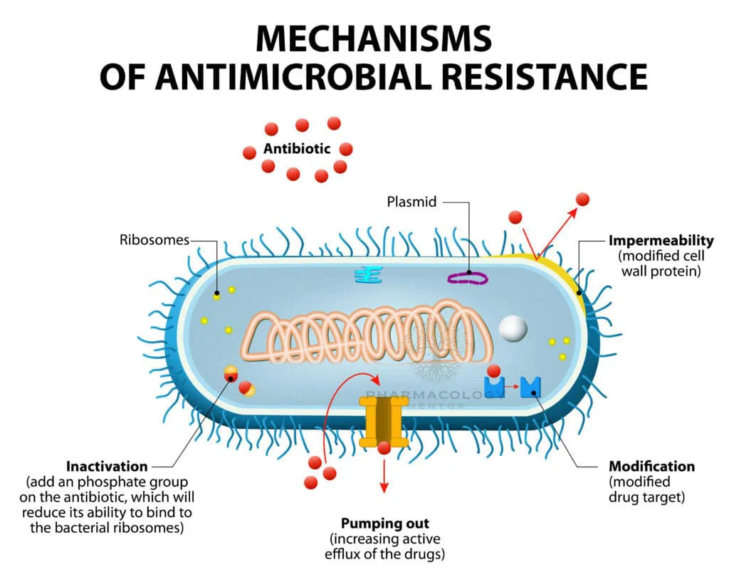Antimicrobial resistance