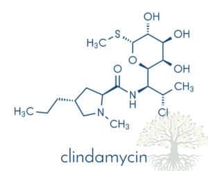 Clindamycin