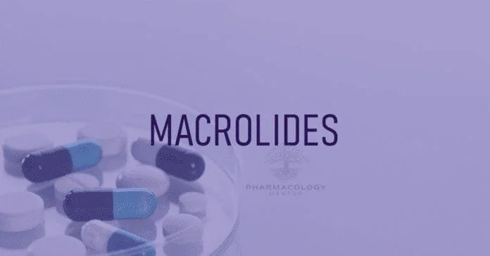 Macrolides