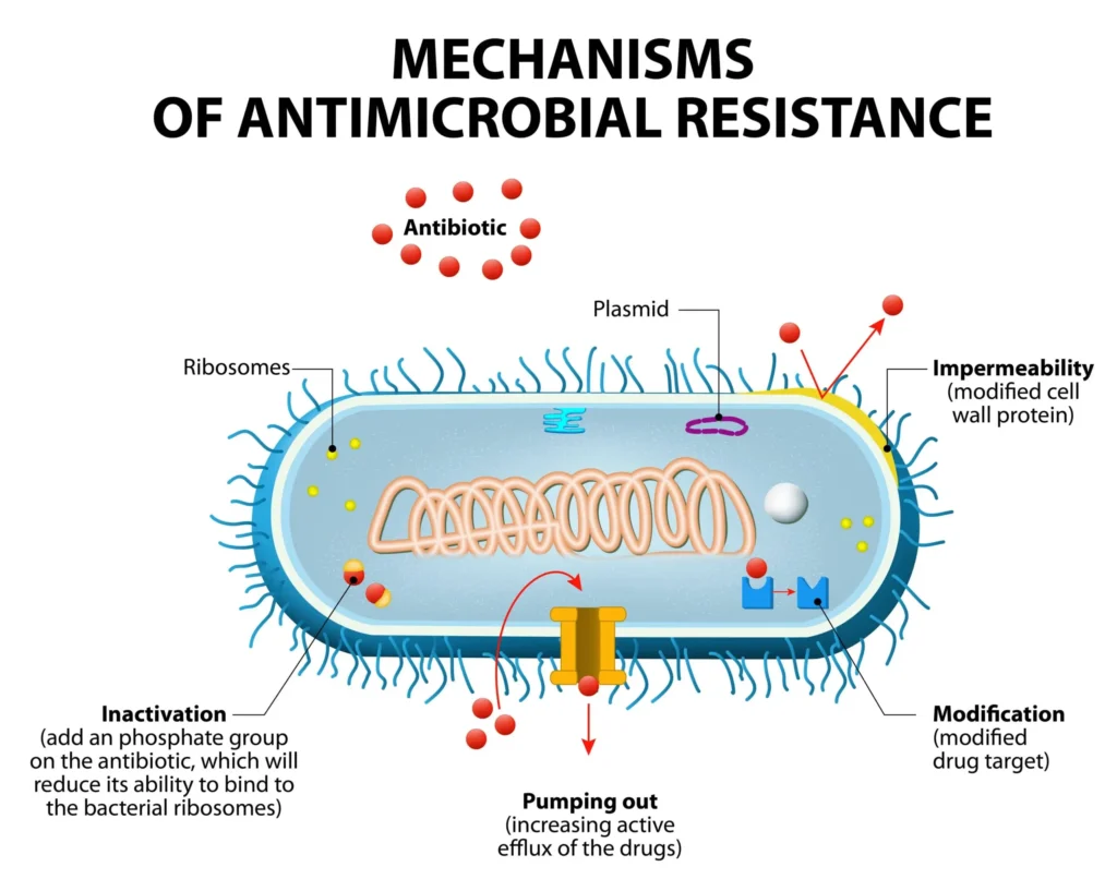 antimicrobial resistance