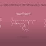 Prostaglandin Structures
