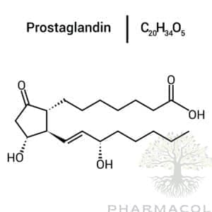 Prostaglandin or Alprostadil
