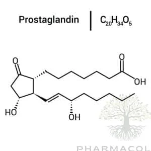Prostaglandin or Alprostadil