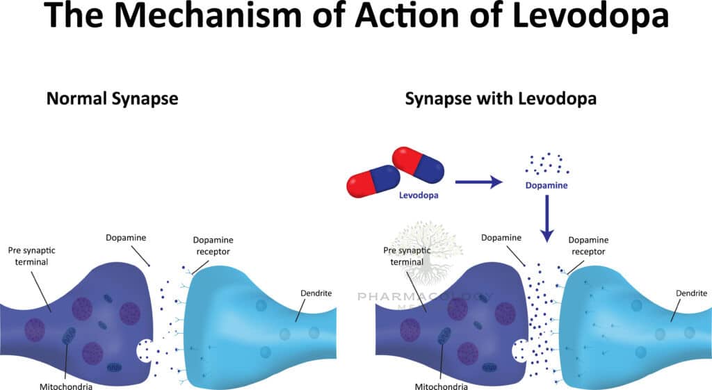 Levodopa