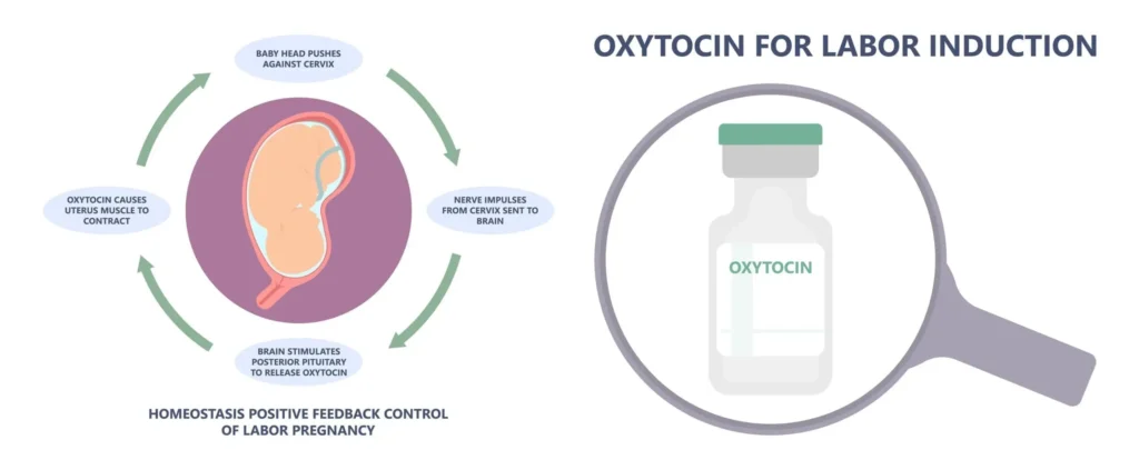 Labor Oxytocin
